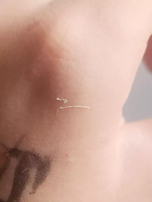 Nose stringer, took sooo long to come out