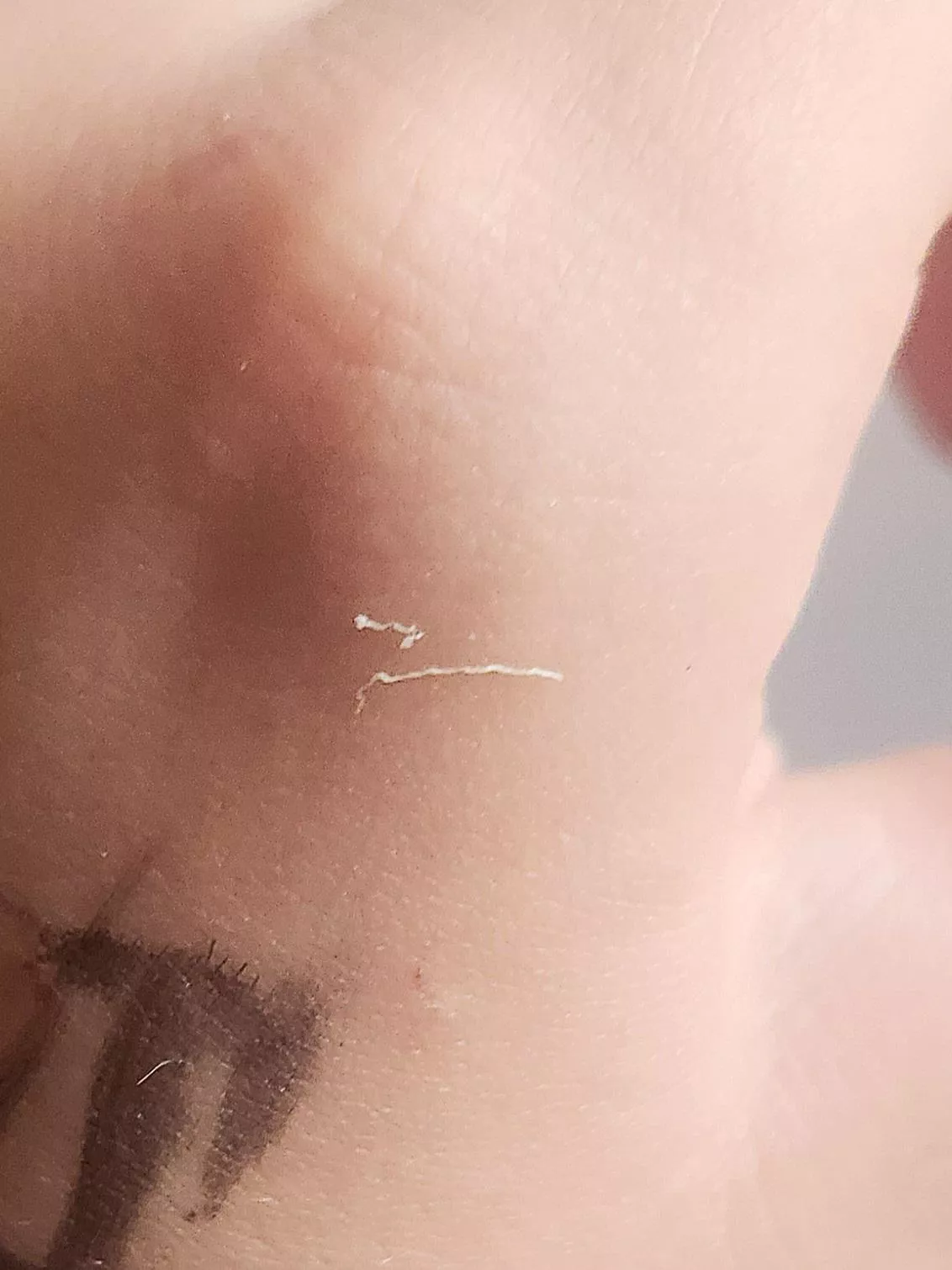 Nose stringer, took sooo long to come out