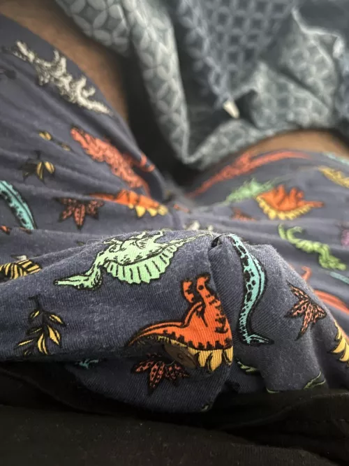 Rocking the Dinos today