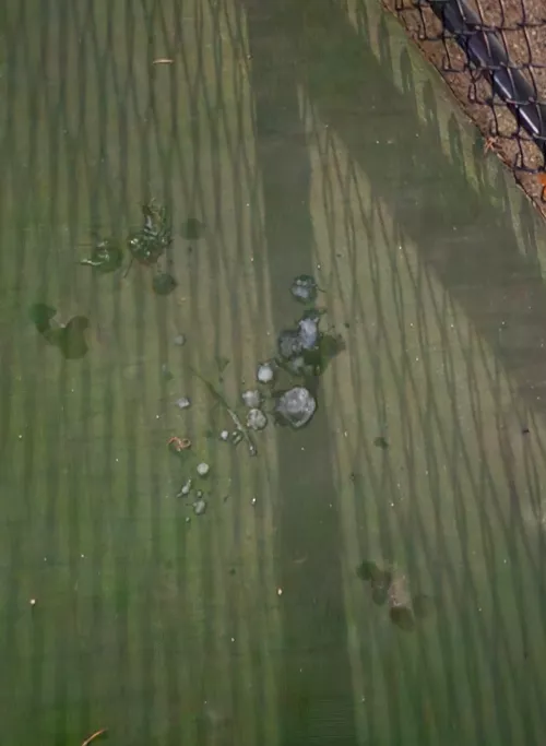 Shot my load while three other guys took turns fucking my face and covering it in cum