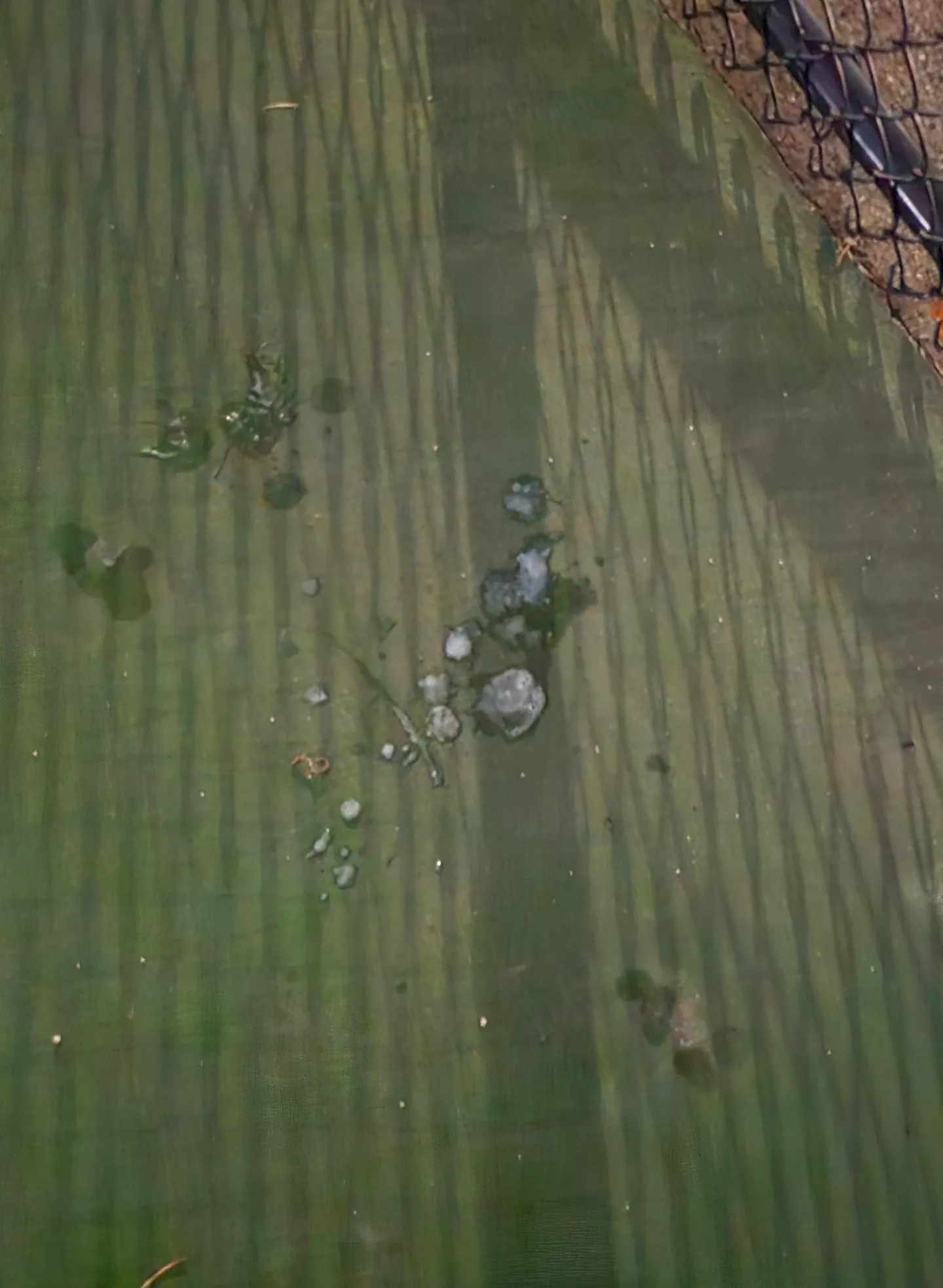 Shot my load while three other guys took turns fucking my face and covering it in cum