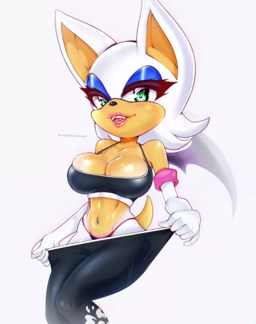 That sports bra can barely hold Rouge's melons (Artist:DarkMoney1)