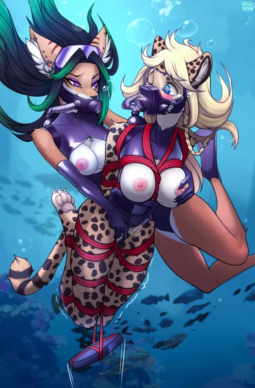 The Underwater Treasure [FF] (Moddish)