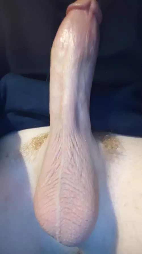 They look even more ginger after a trim