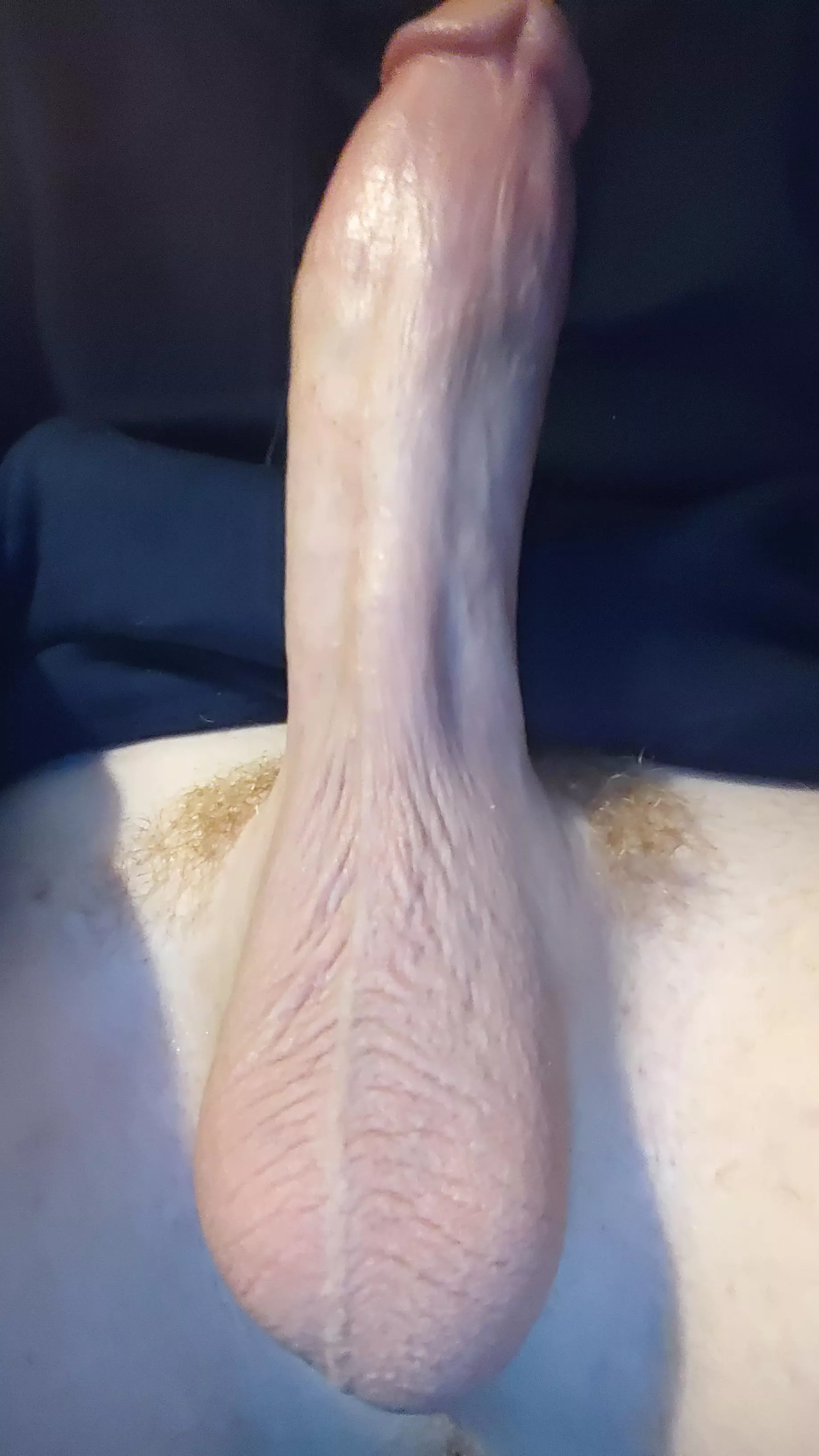 They look even more ginger after a trim