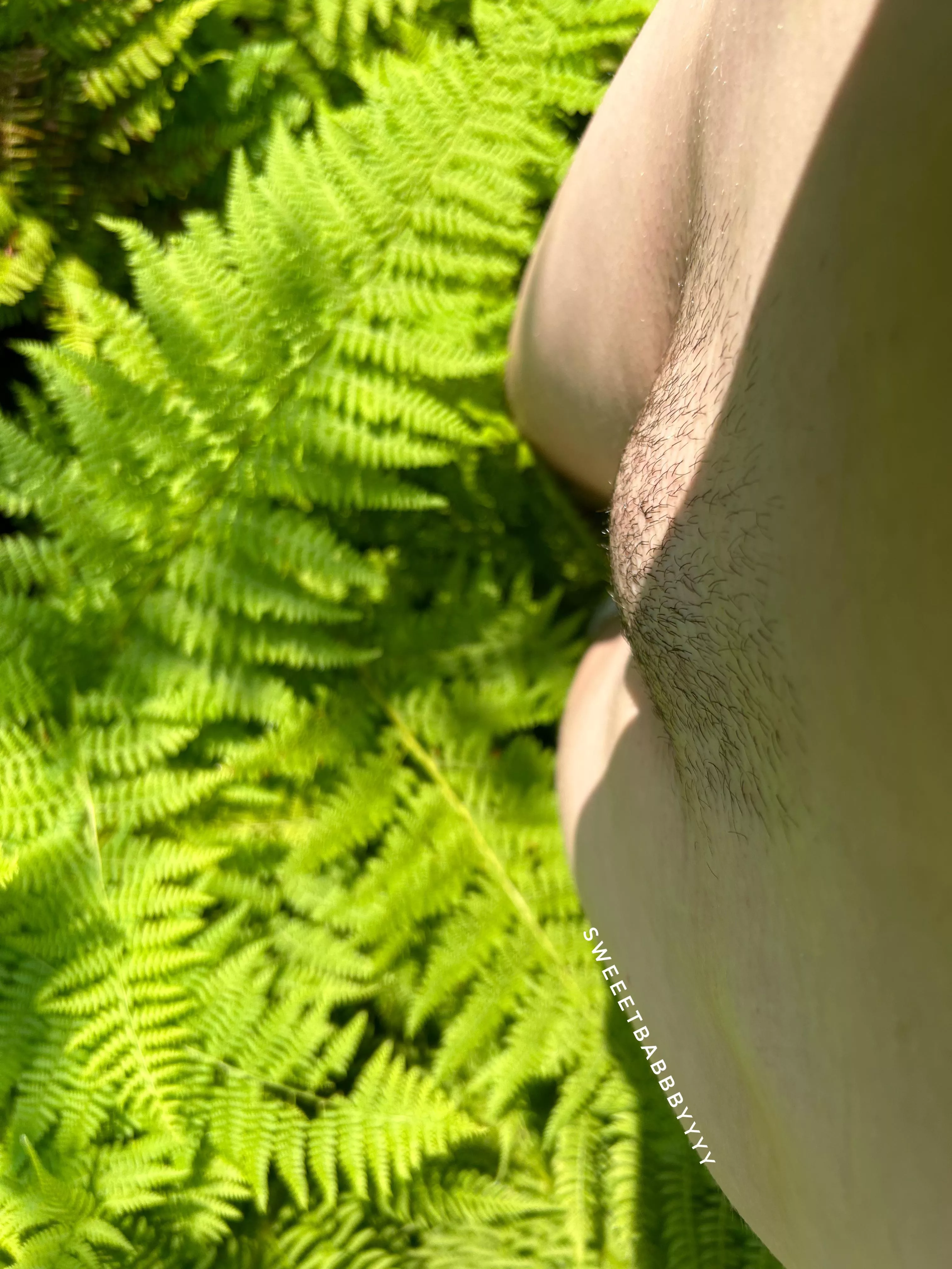 Thinking of growing my bush out:)