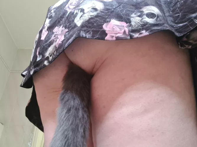 This kitty wanna play