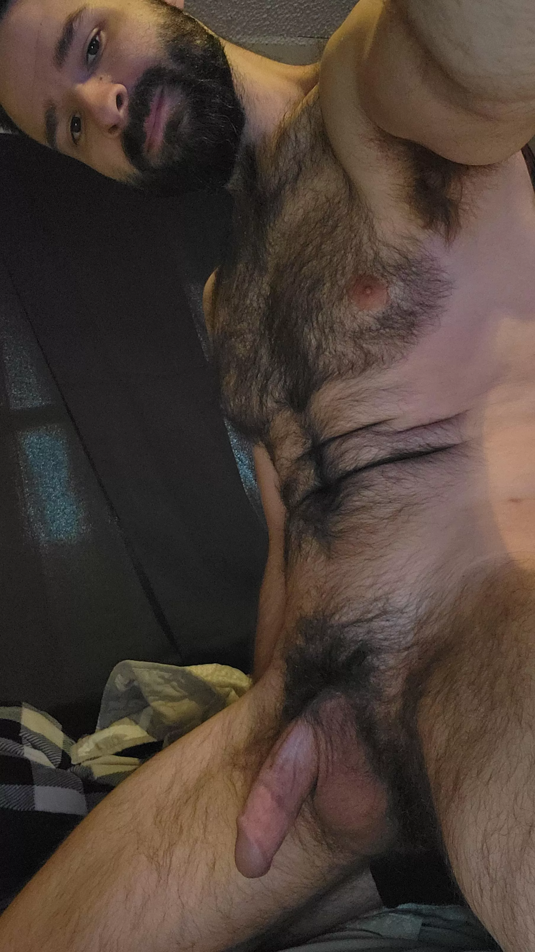 (32) Usually boned up, but figured I'd just show off the softie