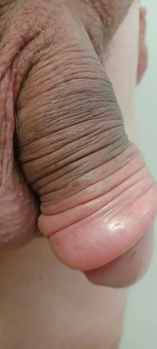 A 30 minutes pump session on labor day!