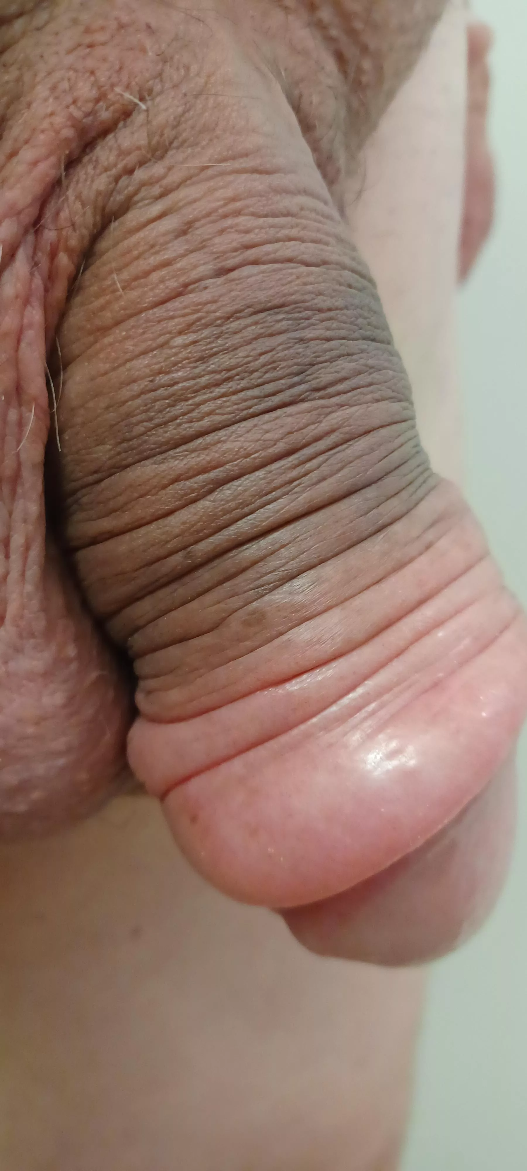 A 30 minutes pump session on labor day!