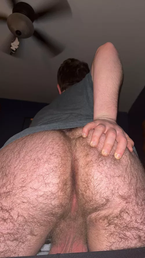 A lot of people liked the first one, here’s this one.