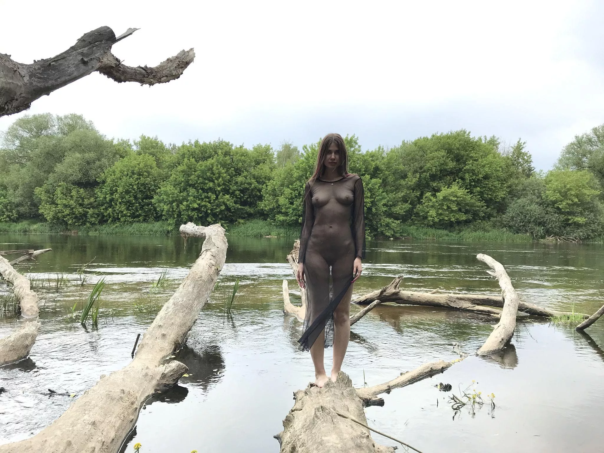 Amongst the Waters and Trees