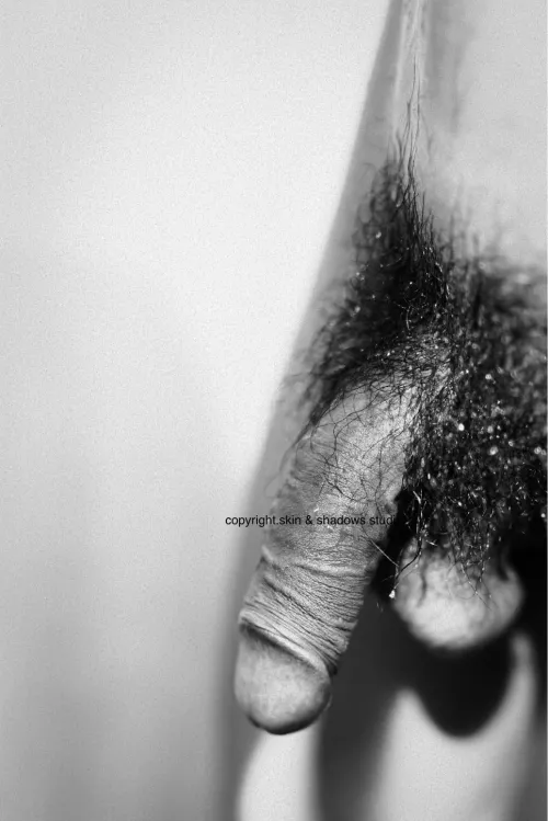 artistic natural asian cock