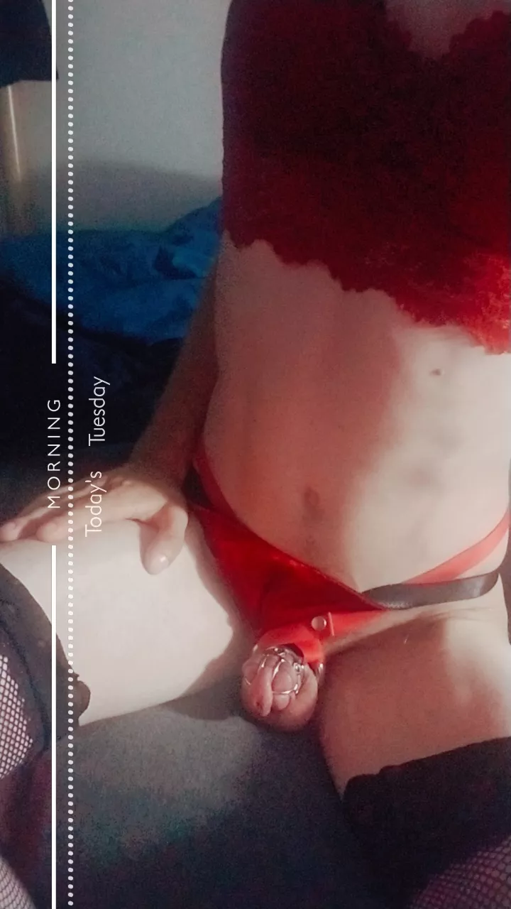 Aww so tiny and useless🥰 the spikes help with that🥴