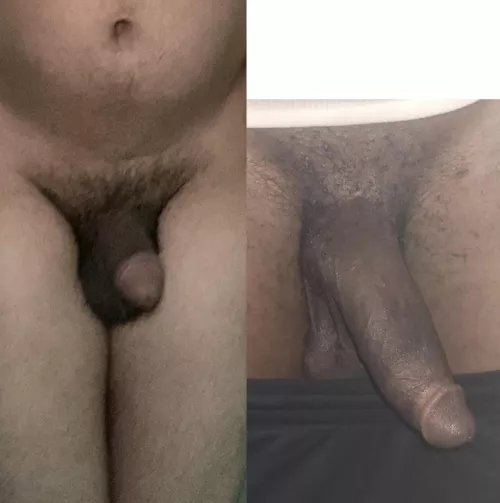 LG1Feared bullied me