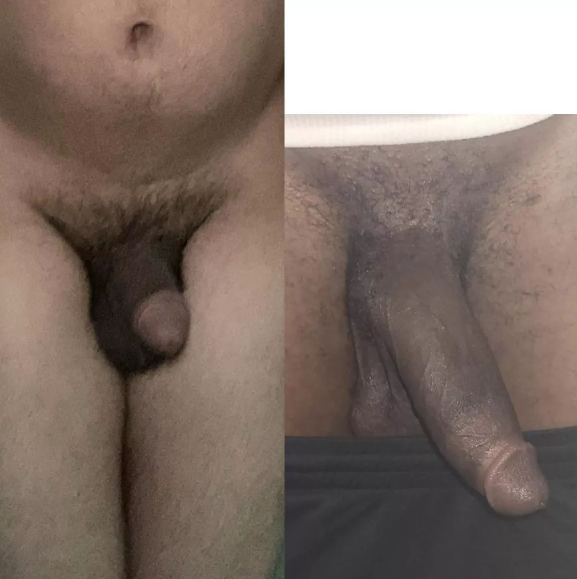 LG1Feared bullied me