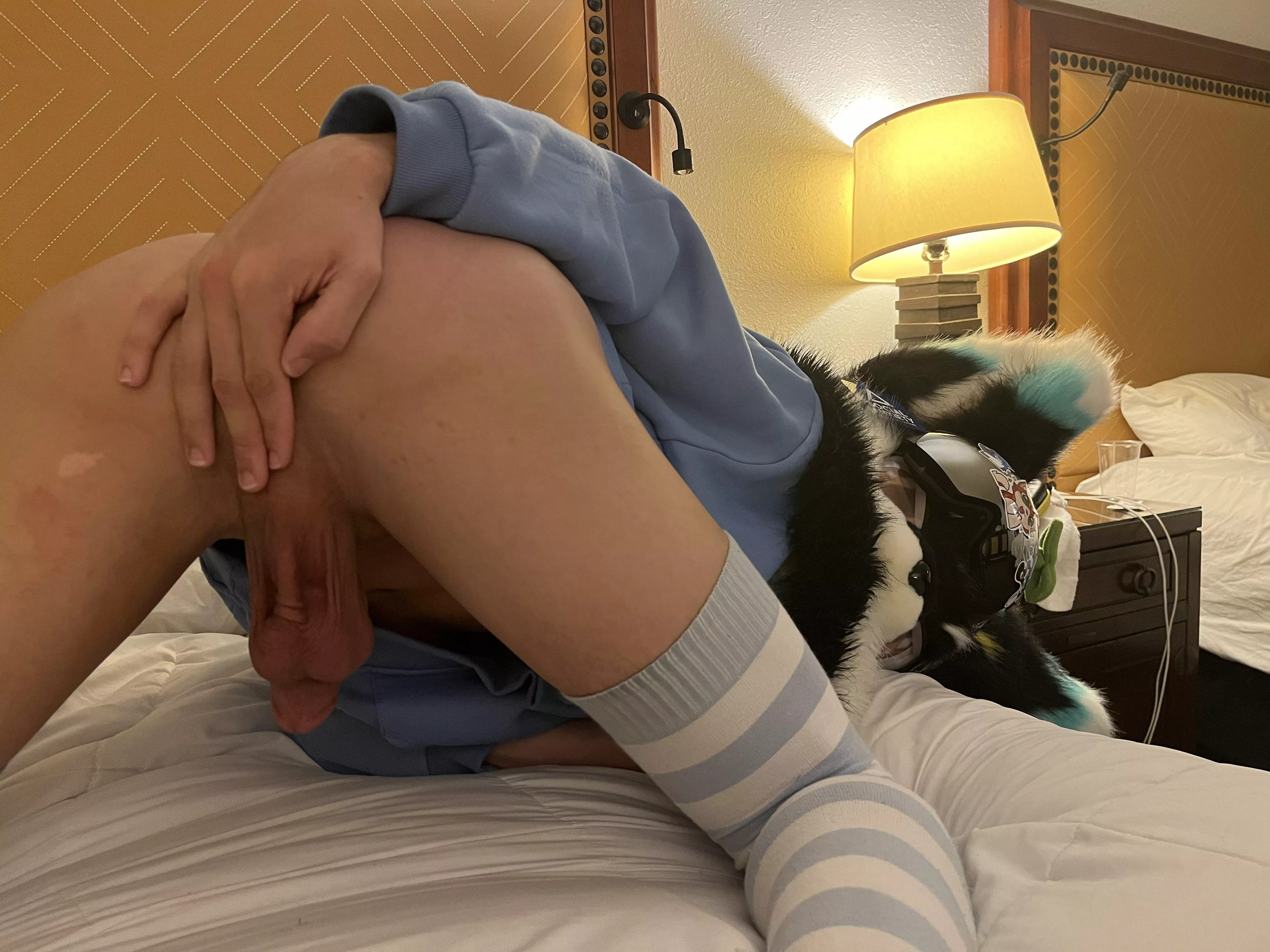 Nu uh, no hole for you, what's the password