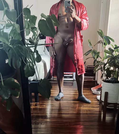 Plants, Dick and Reading