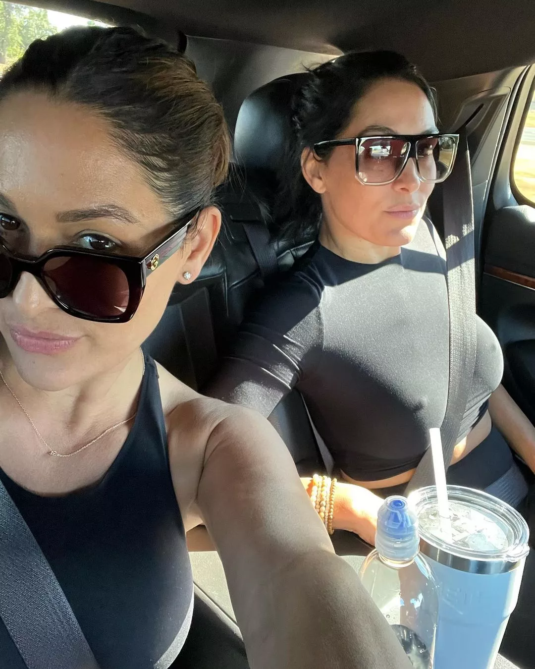 Brie Bella (American Wrestler)