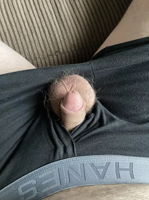 Do you like my new black boxer shorts?