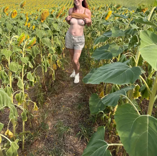 Ever fucked in a sunflower field before?
