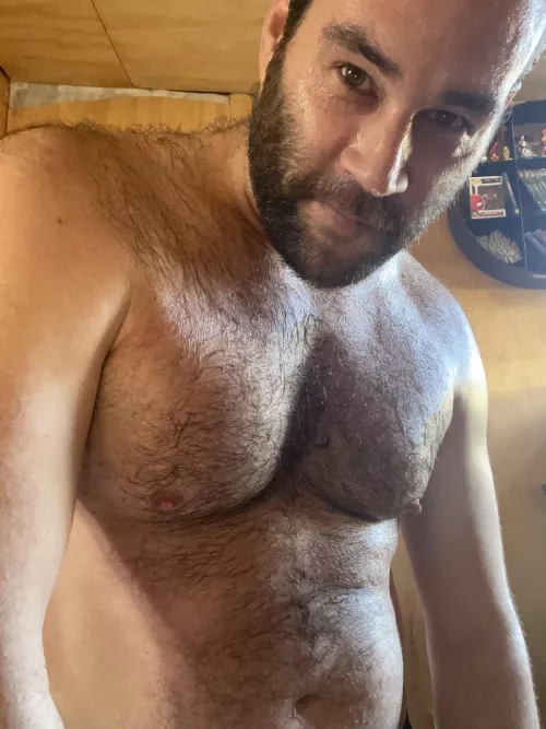 Freshly pumped chest full of sweat 💦🐻💦