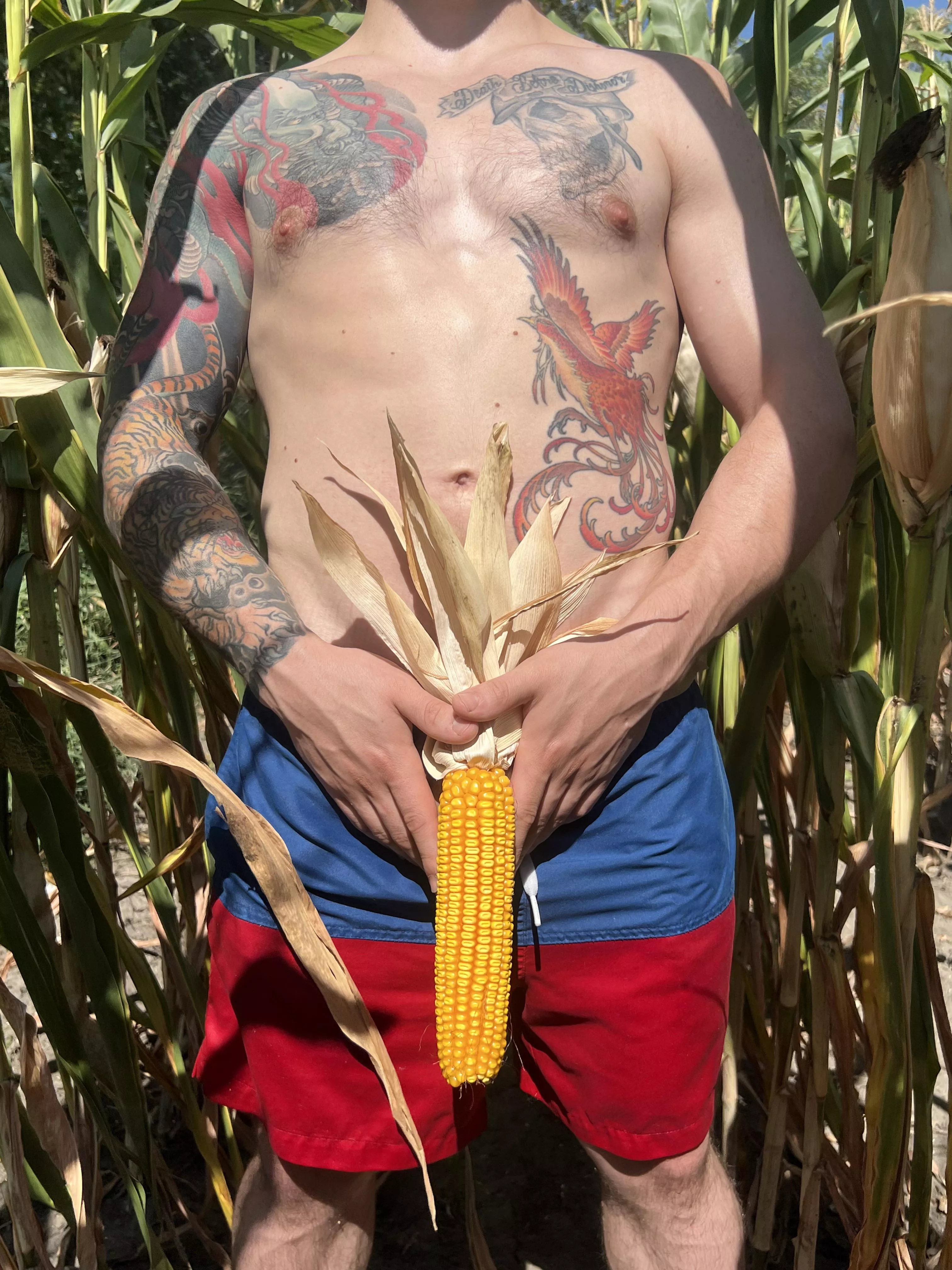 Hardpore Corn