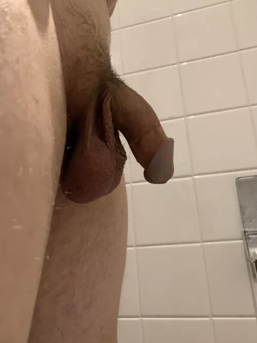looking for soft cock and balls comparison. results can be posted.