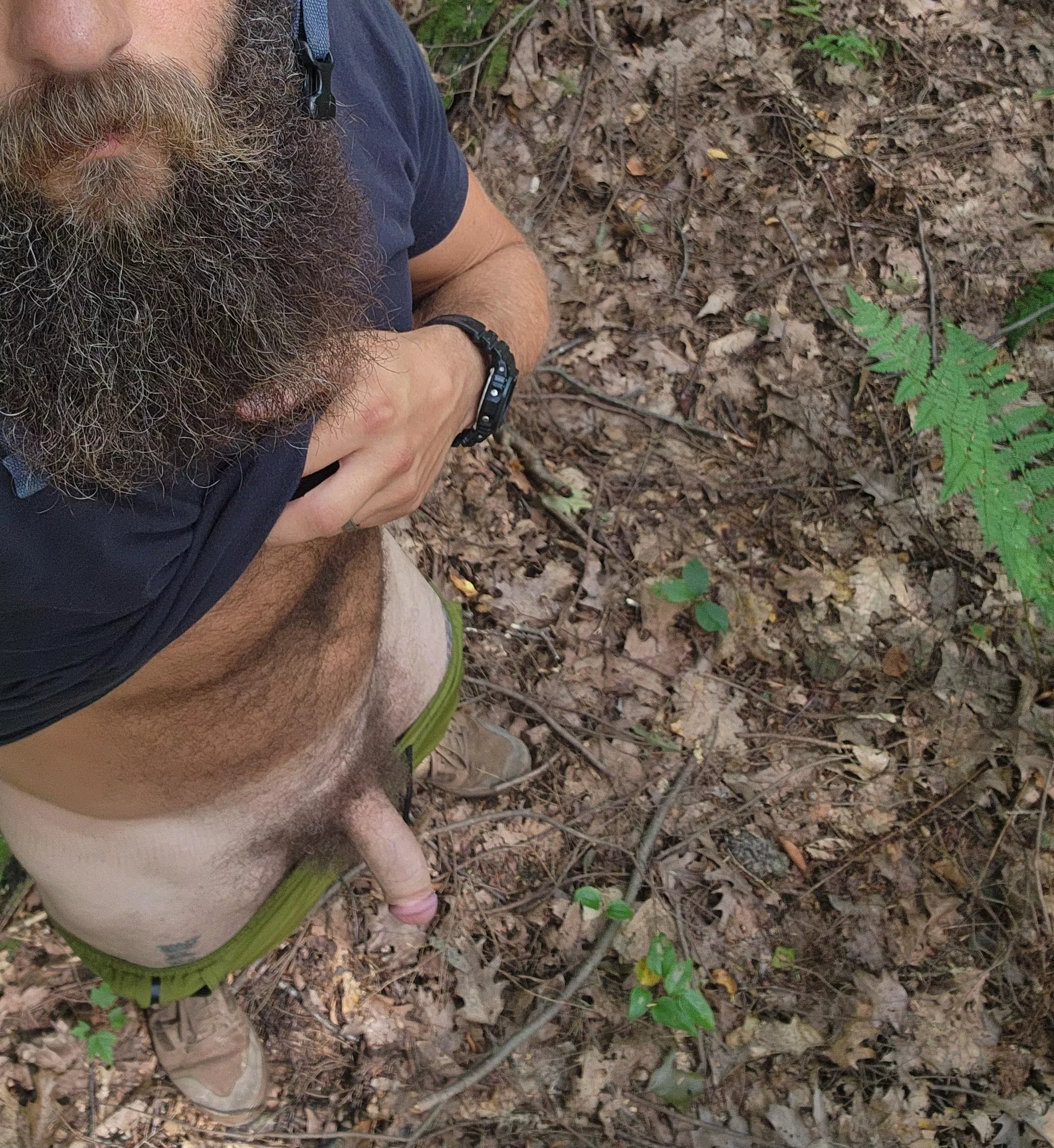 Meet me in the forest