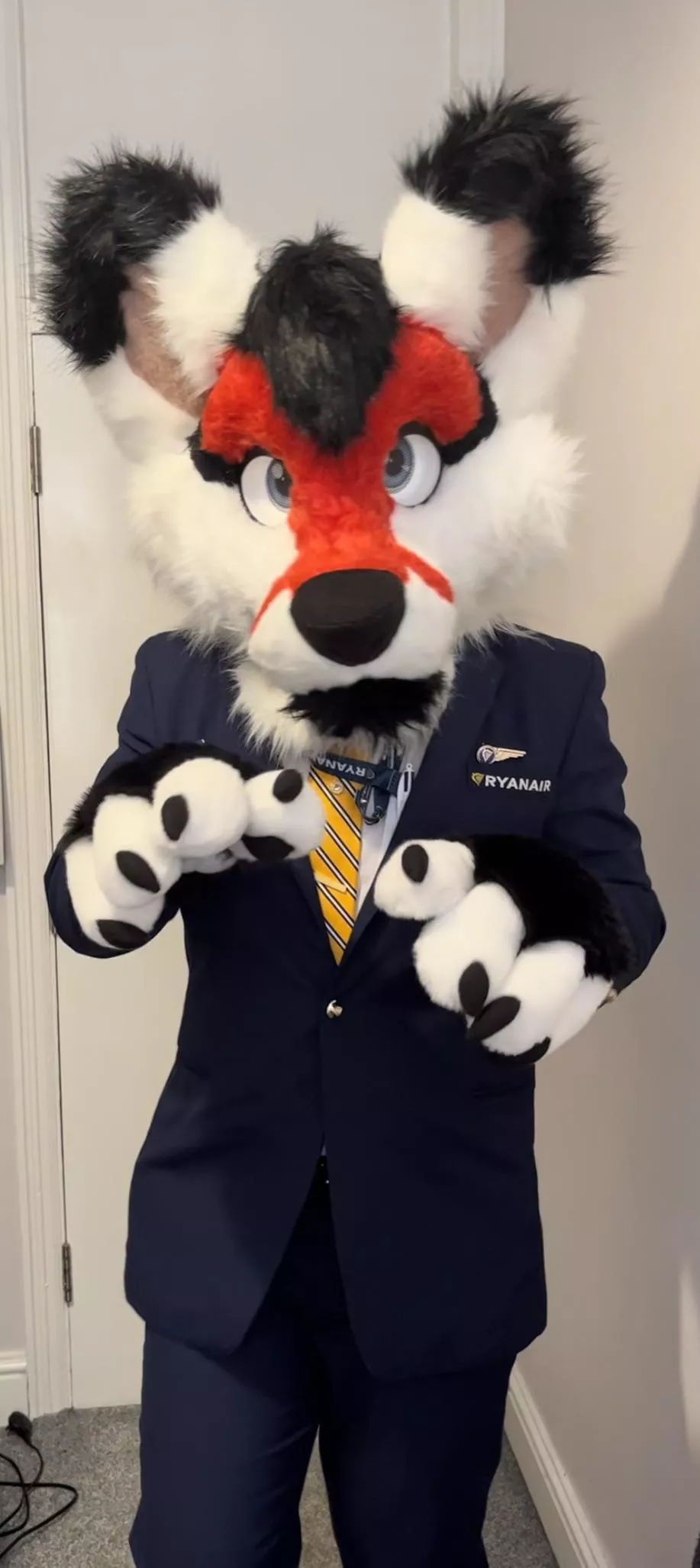 Welcome aboard awoo airlines, please feel free to pet me as I come through the cabin