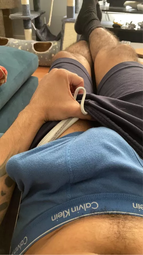 Who wants to join me on the couch? (29)