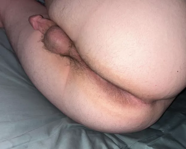 Would you eat my ass