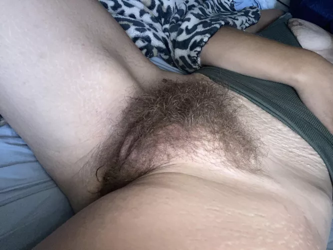 Eat or shave?