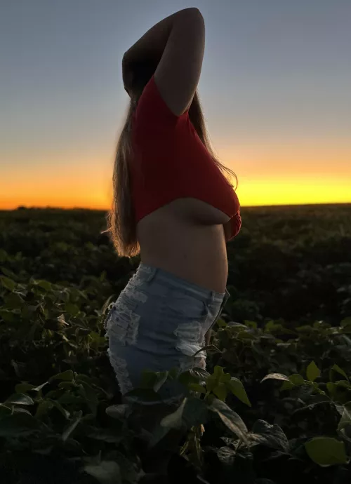 First post here, hope you like it!