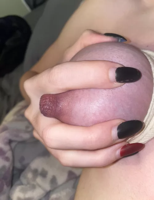 I love how big and long my nipples are, do you ? Btw they stay hard 24/7 even when I’m not horny…