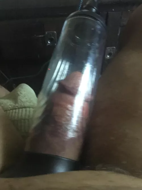 Just got into the pimp