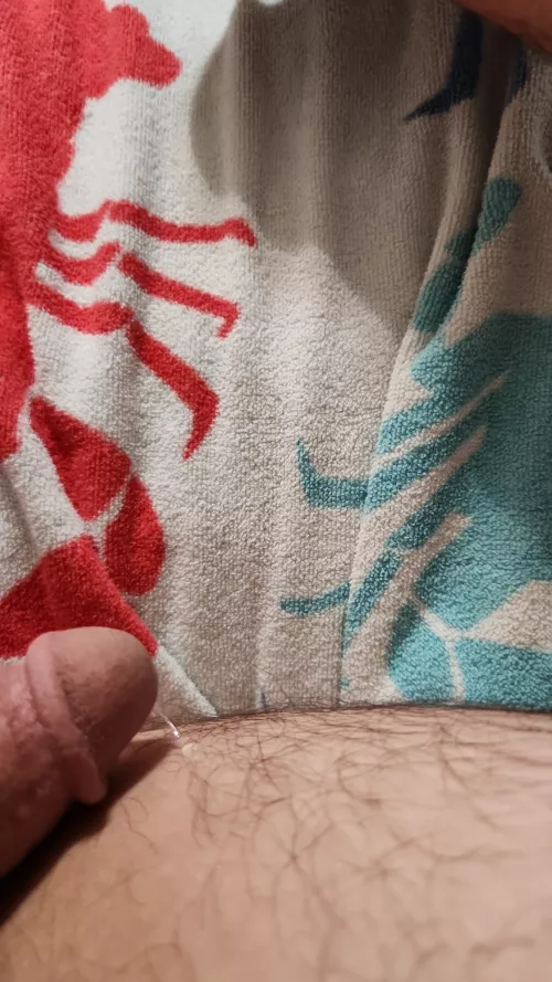 Play date! Edging with a domme!