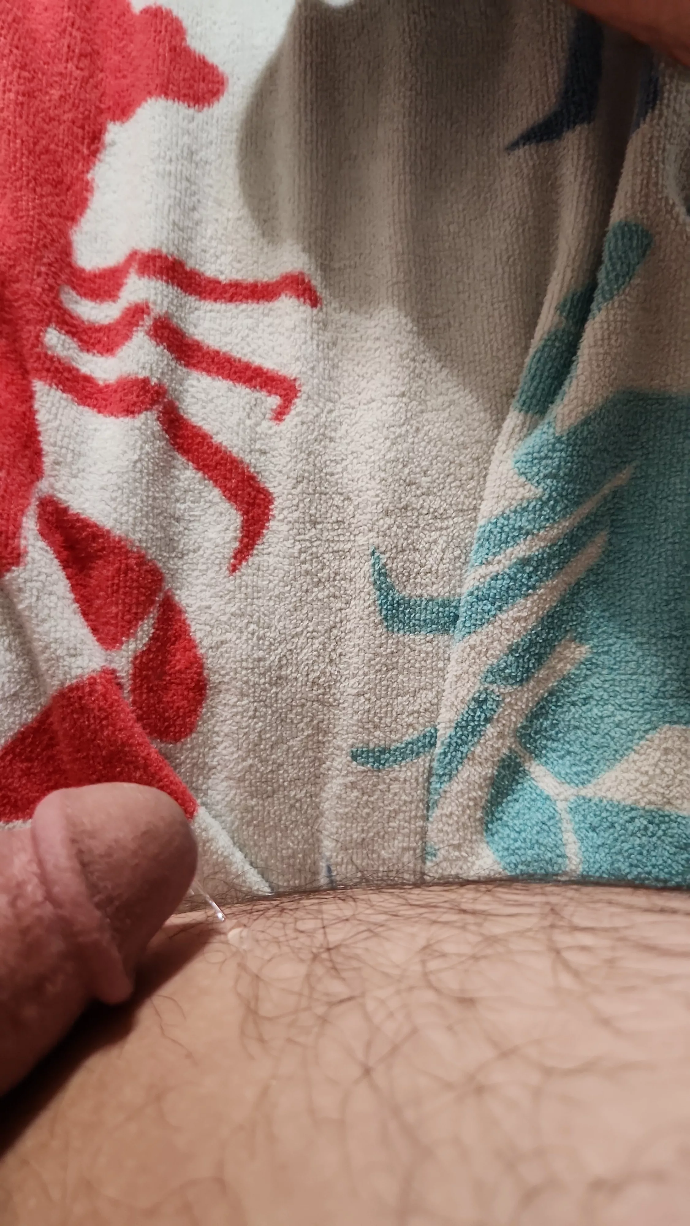 Play date! Edging with a domme!