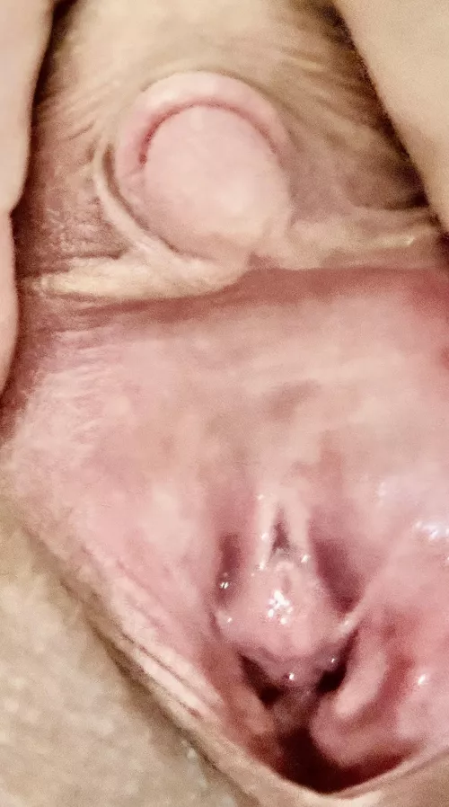 Puffy clit small hood