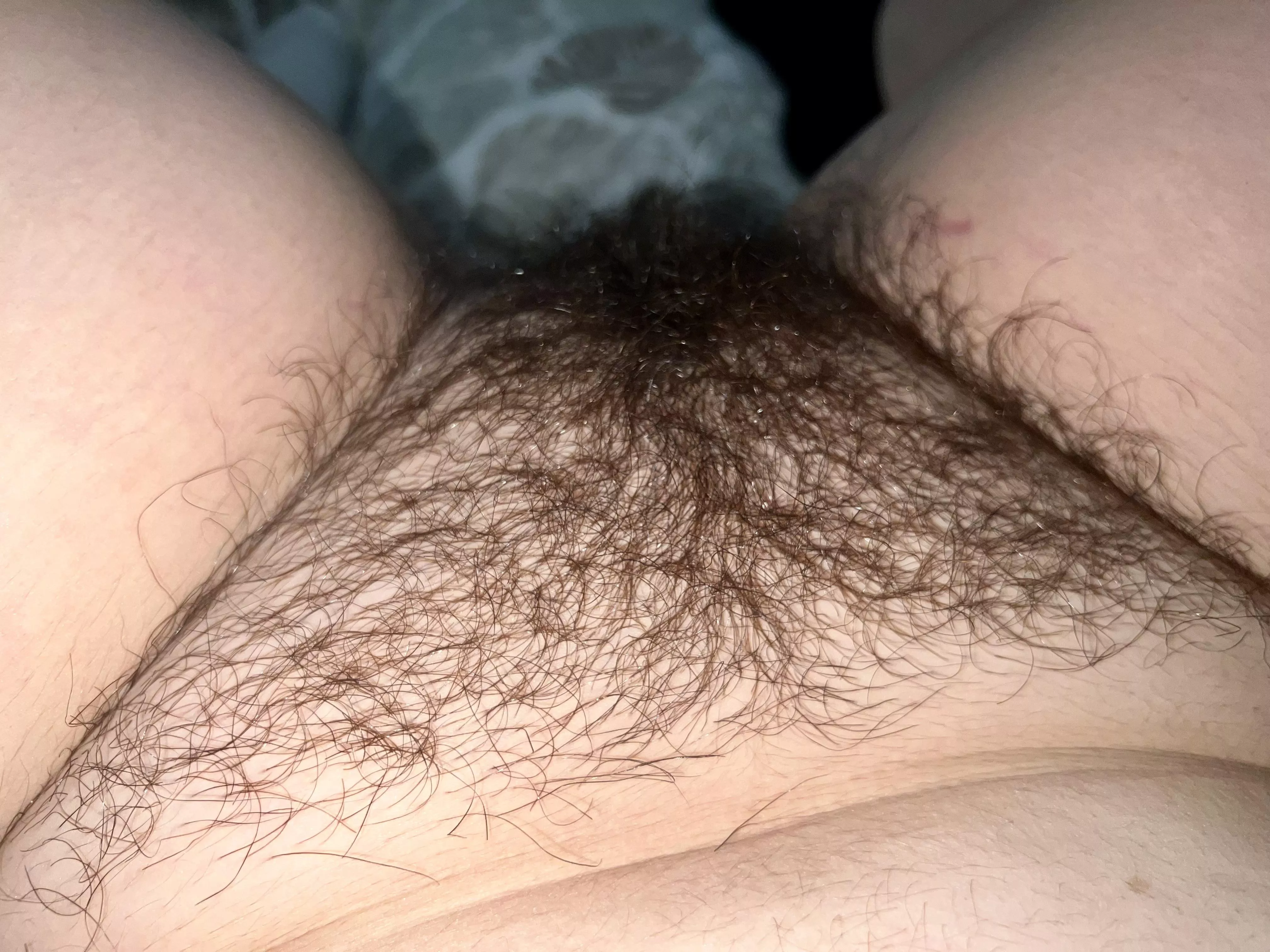 Too thick of a bush or just right?