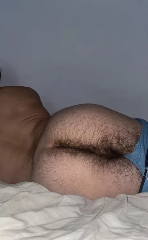 would you breed my hairy man ass?