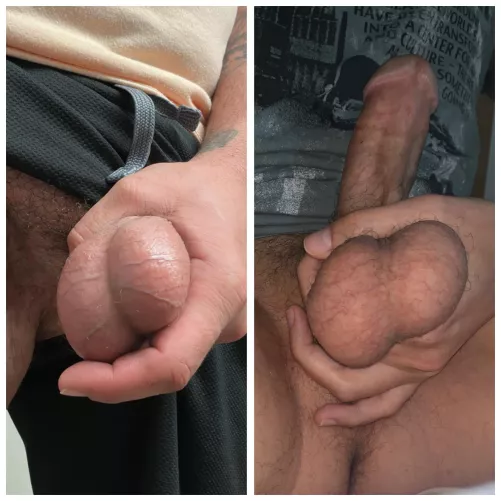 balls comparison with other redditor. left or right?
