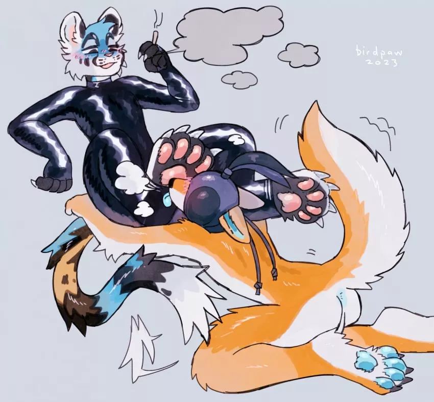 bean praise~ (birdpaw)