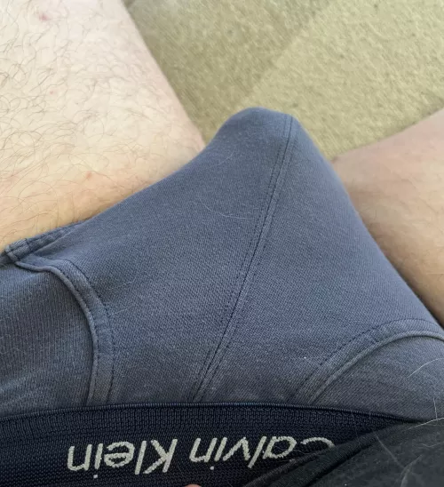 CK briefs are just the best