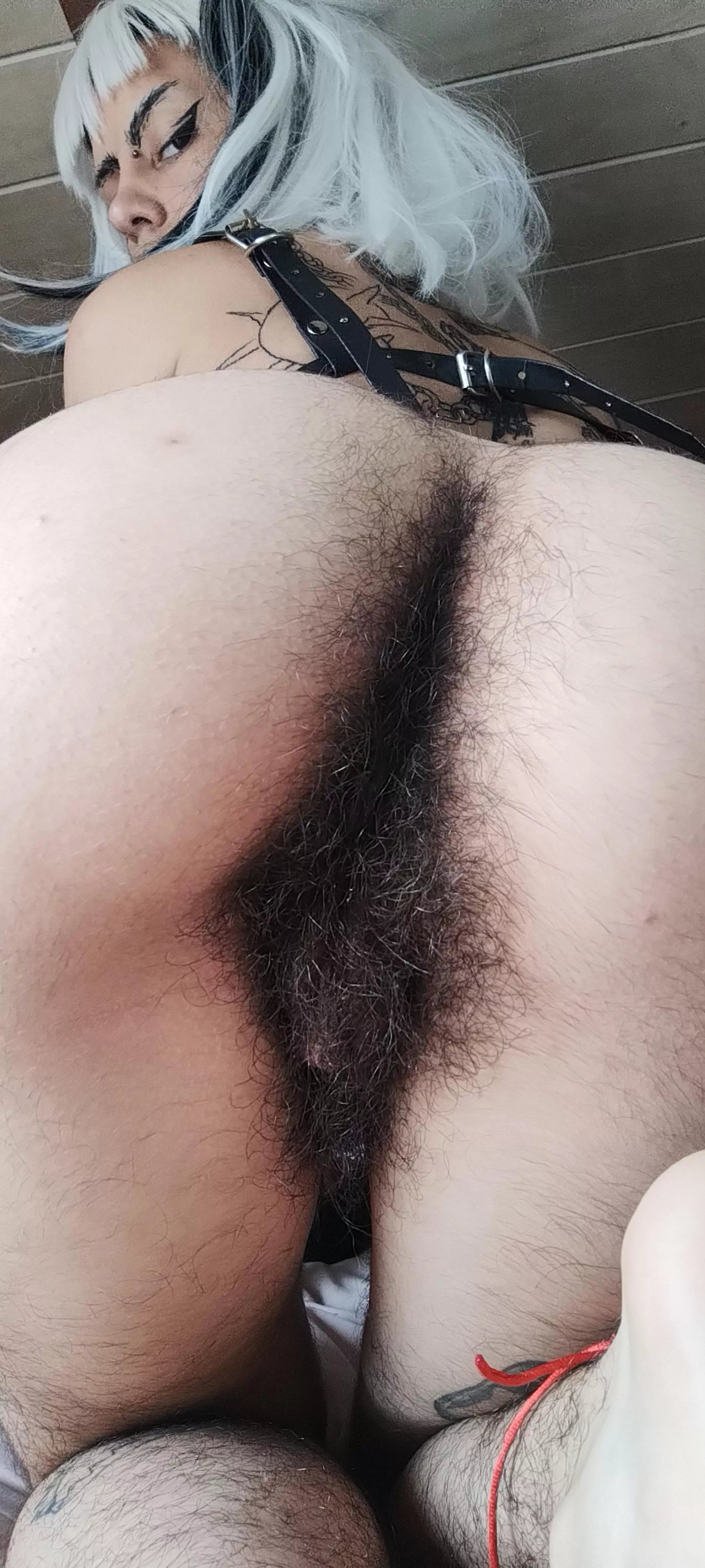 Do you dare to enter [h]