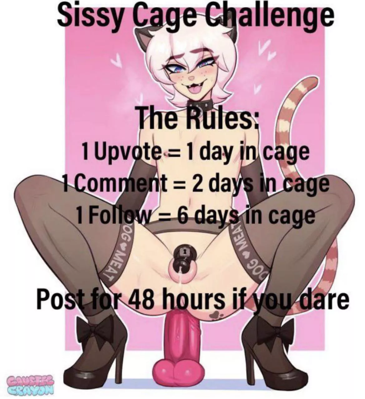 dont be too harsh please-