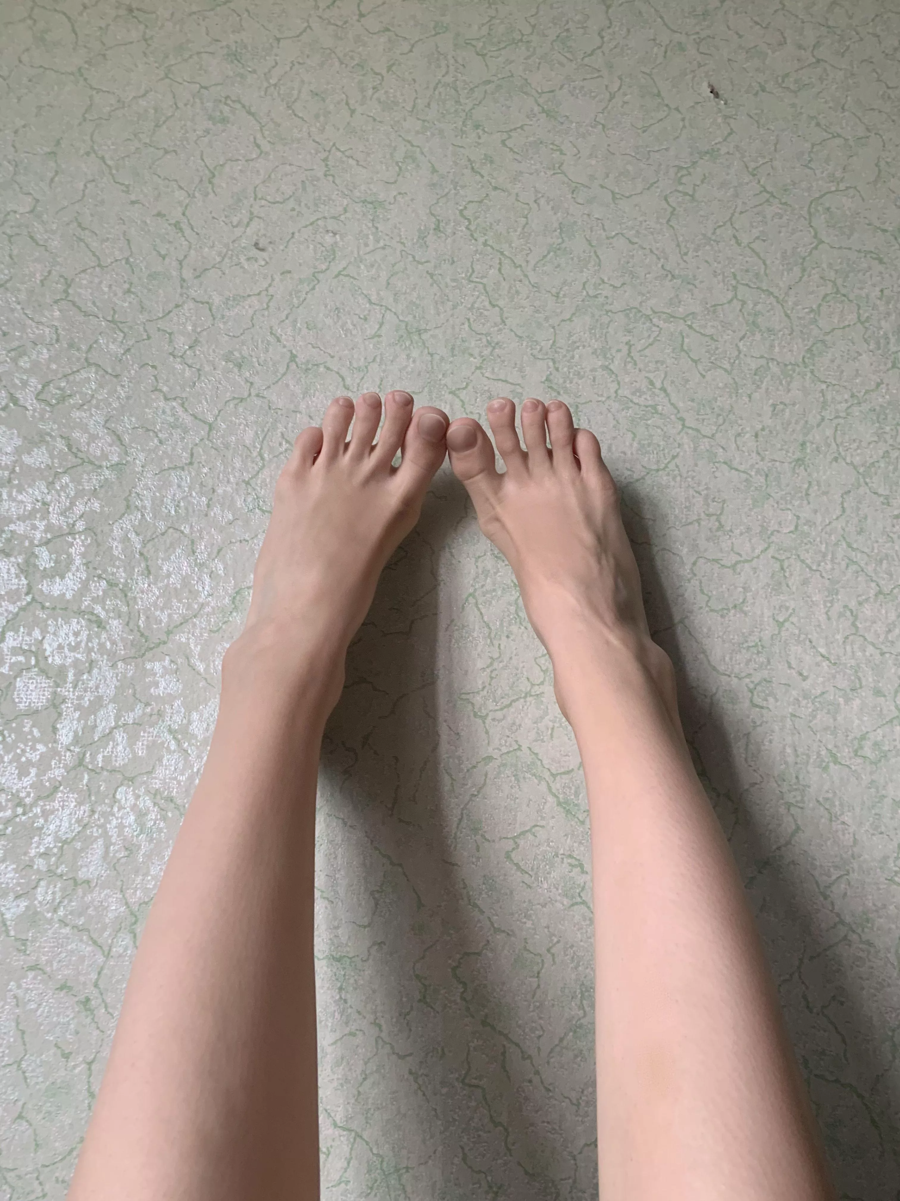 Fancy a leggy adventure?