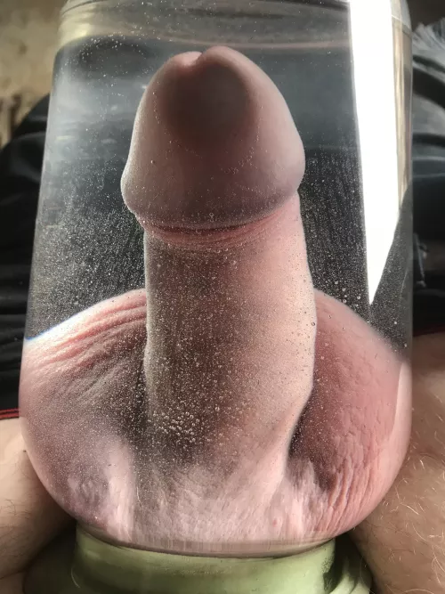 Growing nicely don’t you think ?