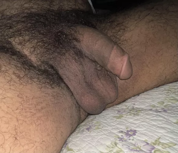 Hairy cock and some nice low hangers