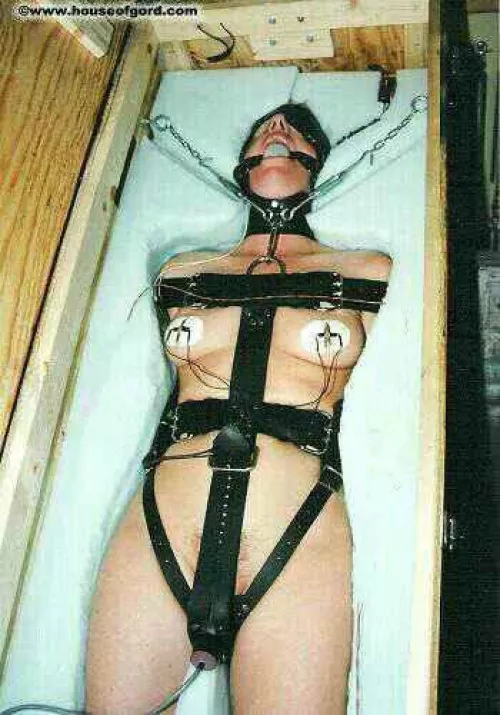 Packaged for Overseas Shipping